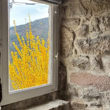 Votre Cocon En Ardeche Verte Lejlighed *