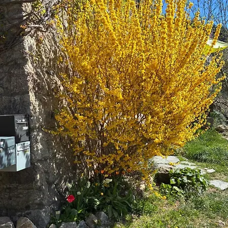 Daire Votre Cocon En Ardeche Verte *
